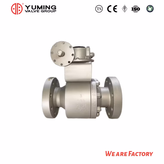 Válvulas de bola de muñón flotante de paso total y paso reducido con bridas de acero inoxidable y acero al carbono
